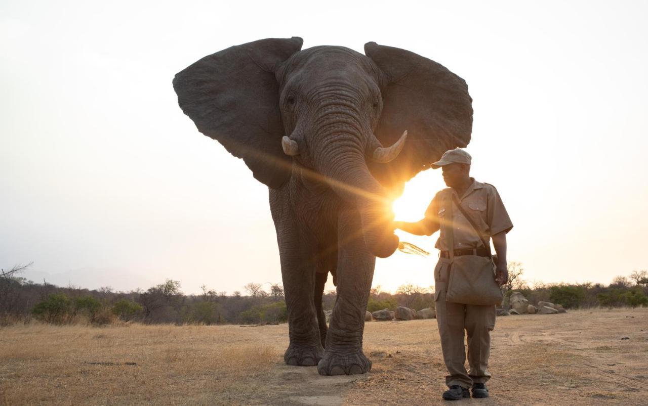 Jabulani Safari Villa Kapama Game Reserve Ngoại thất bức ảnh