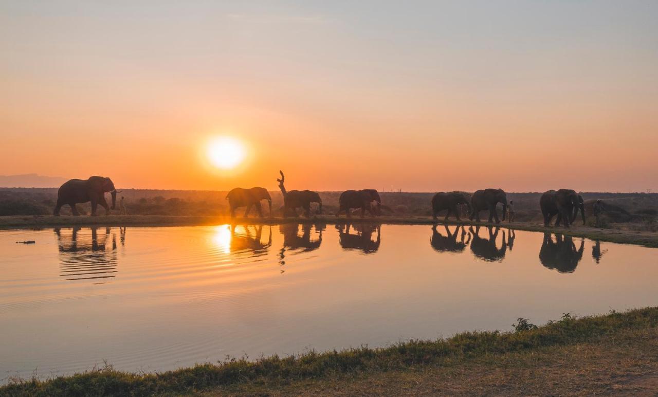 Jabulani Safari Villa Kapama Game Reserve Ngoại thất bức ảnh