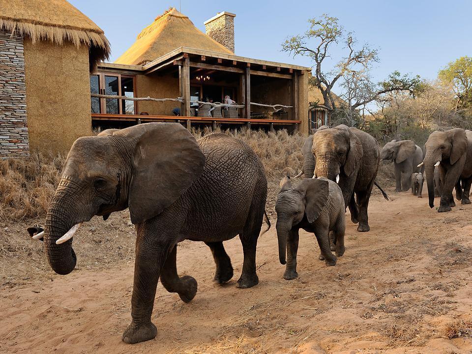 Jabulani Safari Villa Kapama Game Reserve Ngoại thất bức ảnh