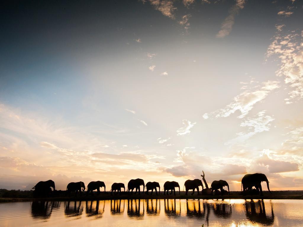 Jabulani Safari Villa Kapama Game Reserve Ngoại thất bức ảnh
