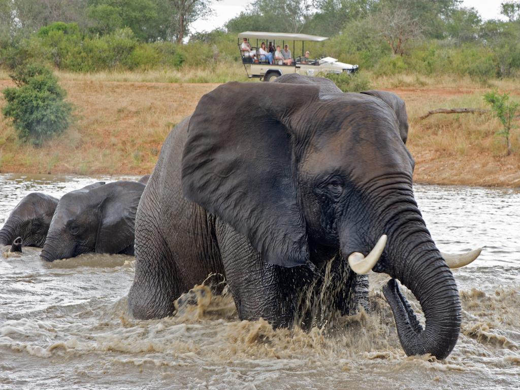 Jabulani Safari Villa Kapama Game Reserve Ngoại thất bức ảnh