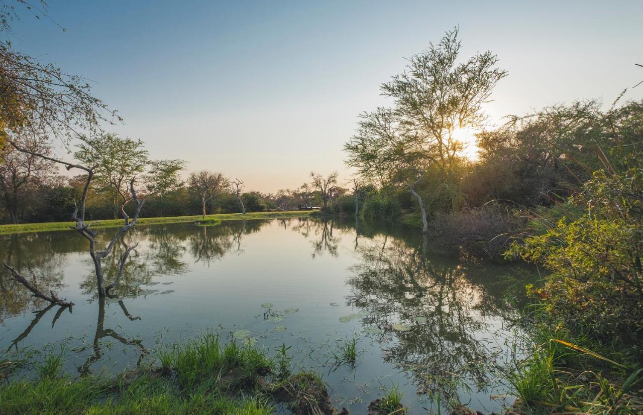 Jabulani Safari Villa Kapama Game Reserve Ngoại thất bức ảnh